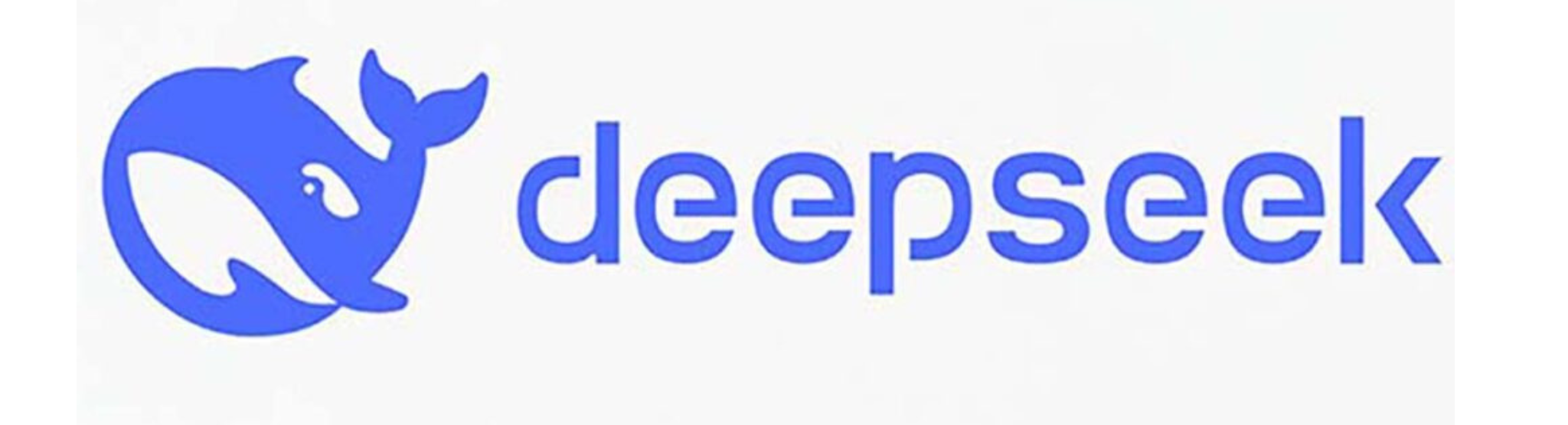 DeepSeek